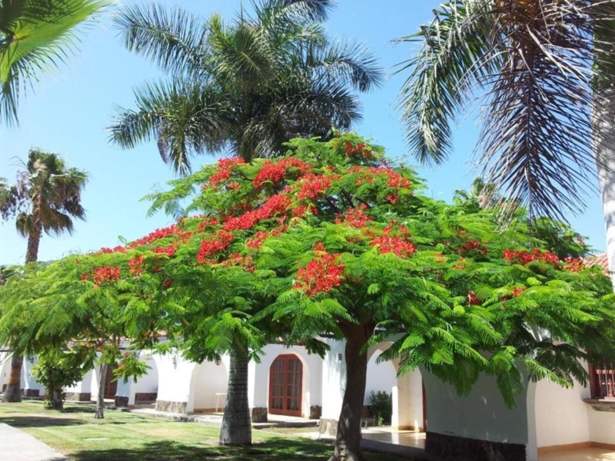 Parque Golf Bungalow ซานบาร์โตโลเม ภายนอก รูปภาพ